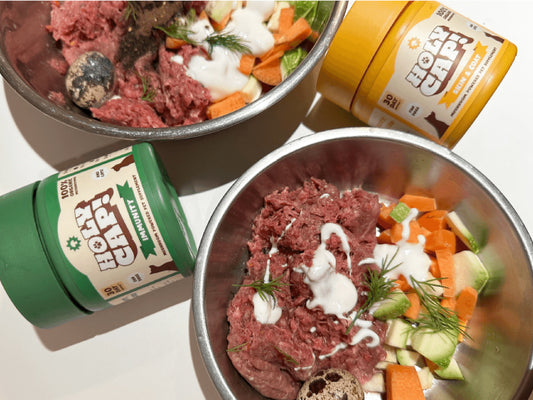 4 reasons you should be adding functional mushrooms to your pet's diet
