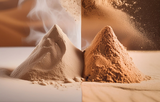 Difference between Mushroom Powder vs Mushroom Extract