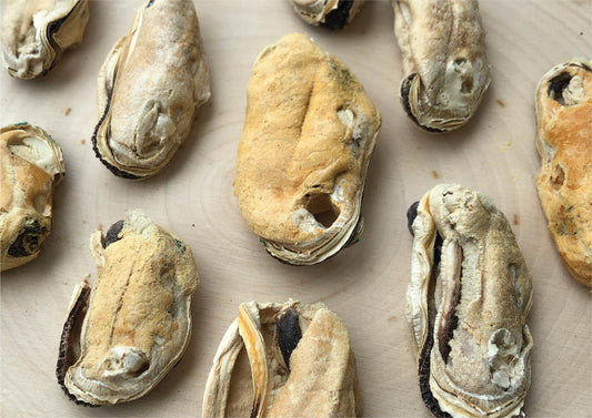 Spotlight On: Green-lipped Mussels