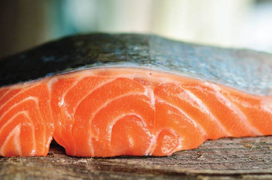 7 Best Superfoods for Anxious Dogs