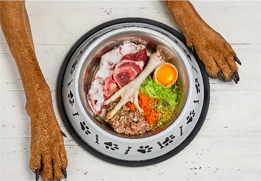 Why your pet’s diet & nutrition is so important