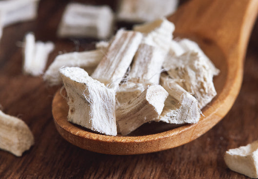Spotlight On: Marshmallow root – Althea officinalis