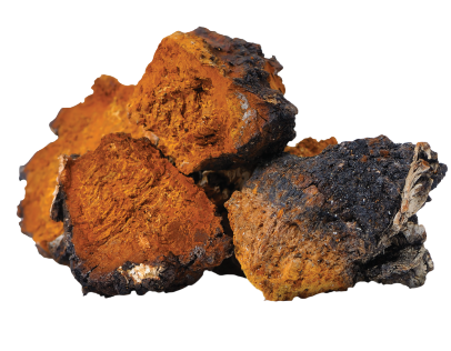 Organic Chaga