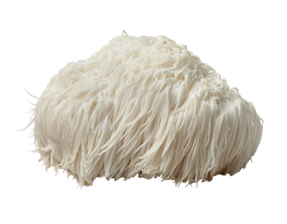 Organic Lion’s Mane