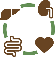Offers Multi-organ Support