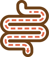 Aids in Gut Lining Recovery