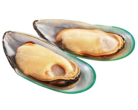 Organic Green Lipped Mussel