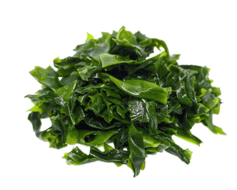 SPIRULINA