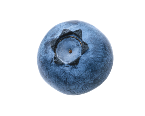 BILBERRY