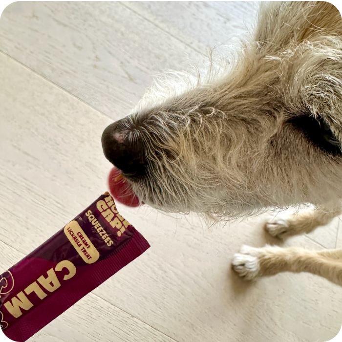 Calm & Chill Dog - Mackerel, Mushroom & Turkey