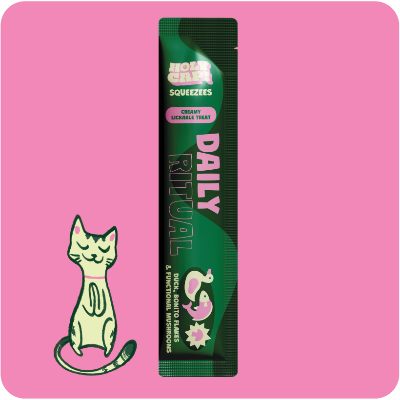 Daily Ritual Cat - Duck, Dried Bonito Flakes & Mushroom