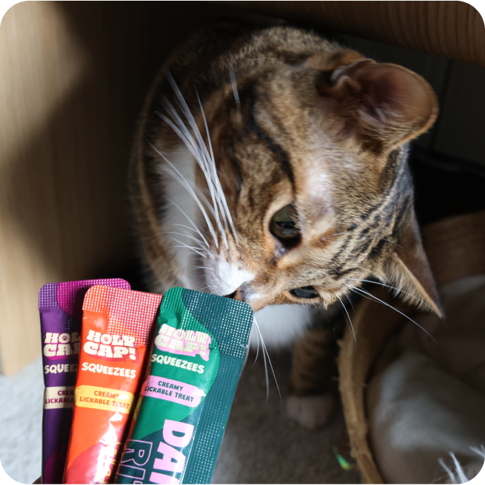 Daily Ritual Cat - Duck, Dried Bonito Flakes & Mushroom