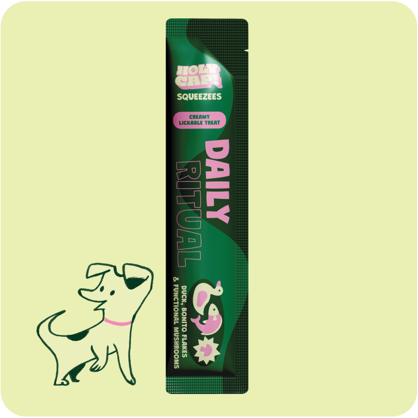 Daily Ritual Dog - Duck, Dried Bonito Flakes & Mushroom