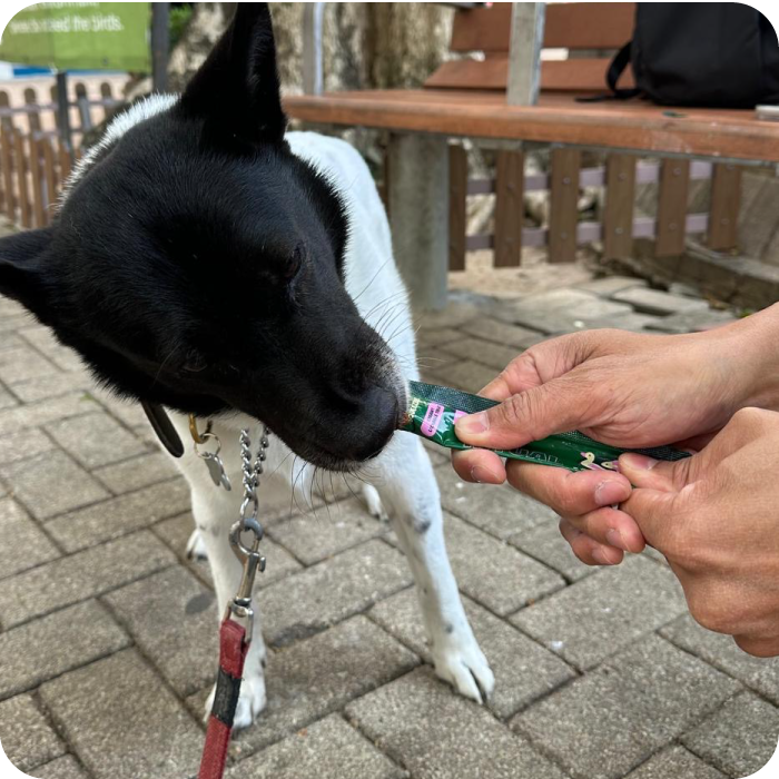 Daily Ritual Dog - Duck, Dried Bonito Flakes & Mushroom
