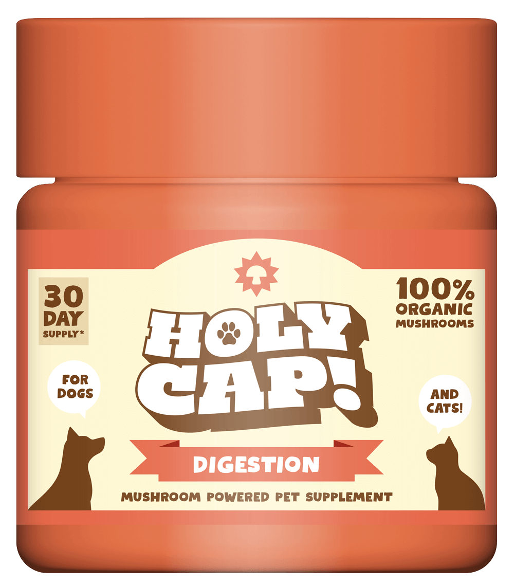 Digestion